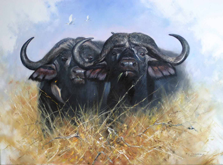Pip McGarry, Original oil painting on canvas, Buffalo Brothers