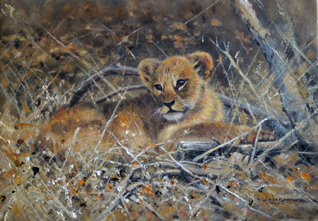 Pip McGarry, Original oil painting on canvas, Lion Cub