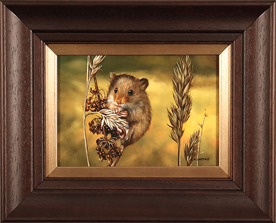 Carl Whitfield, Original oil painting on panel, Harvest Mouse