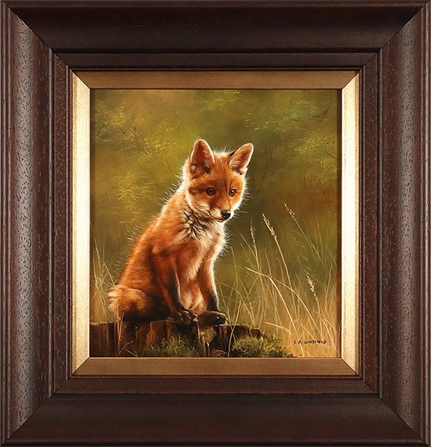Carl Whitfield, Original oil painting on panel, Fox Cub