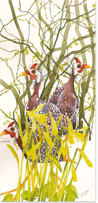 Mary Ann Rogers, Signed limited edition print, Guinea Fowls and Daffodils