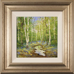 Terry Evans, Original oil painting on canvas, Forgotten Forest